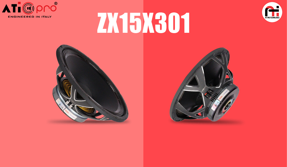 Ferrite DJ Speaker 15 Inch 450 Watt Model ZX15X301