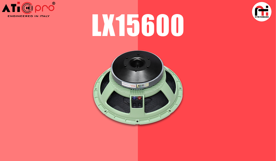 Ferrite DJ Speaker 15 Inch 600 Watt Model LX15600