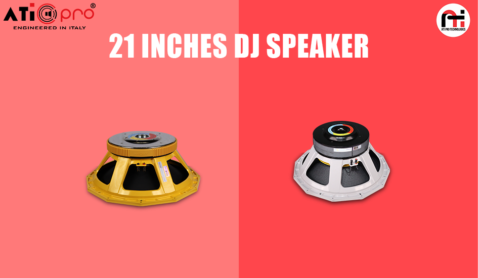 21 Inch DJ Speakers
