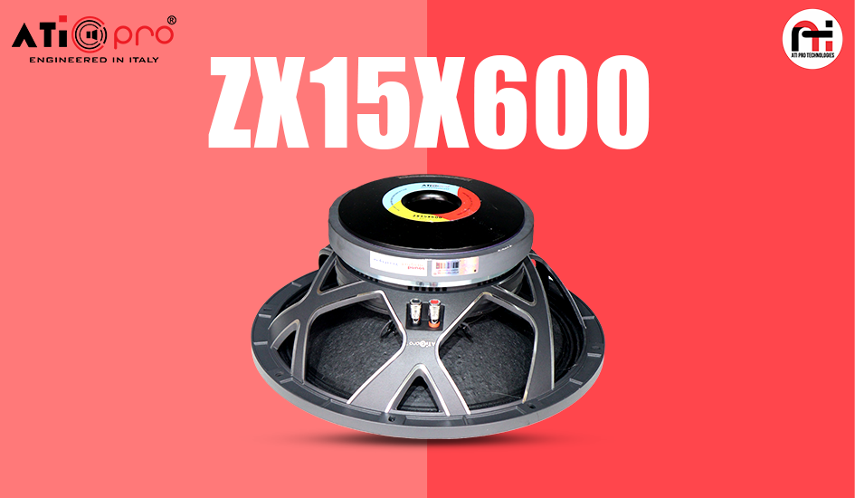 Ferrite DJ Speaker 15 Inch 800 Watt Model ZX15X600