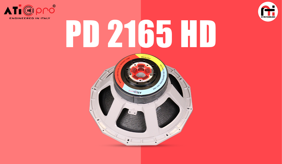 Ferrite DJ Speaker 21 Inch 3000 Watt Model PD 2165 HD