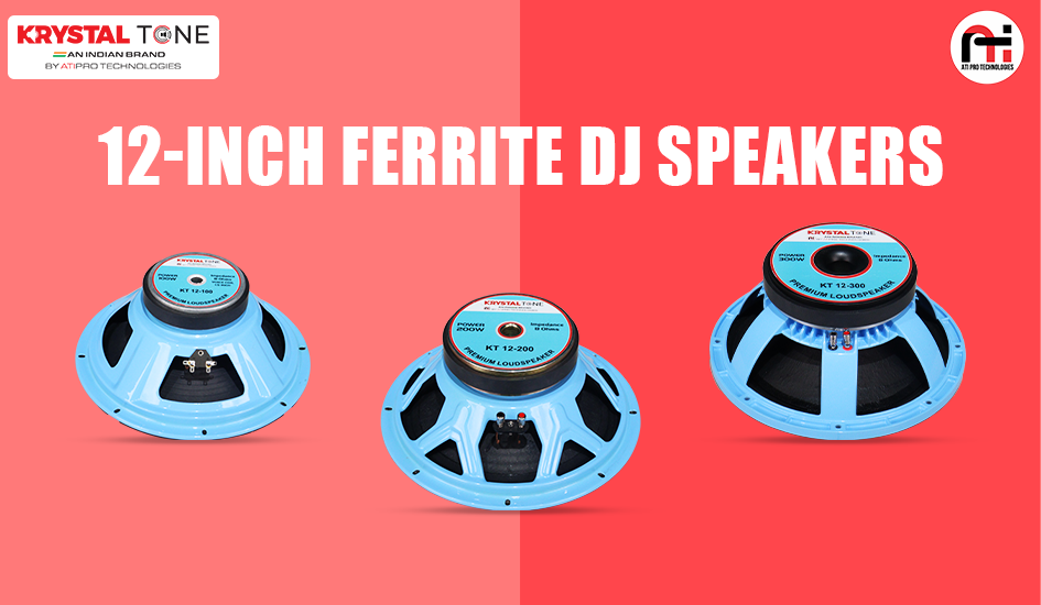 12-Inch Ferrite DJ Speakers