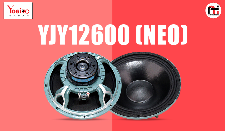 Experience Powerful Sound with the New 12 Inch 600W Neodymium DJ Speaker YJY12600